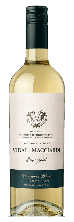 Vidal e Macciardi Sauvignon Blanc 2022